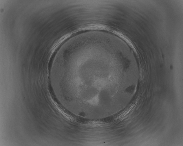 X0000078290437200611031235