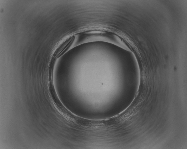 X0000078290438200611031235