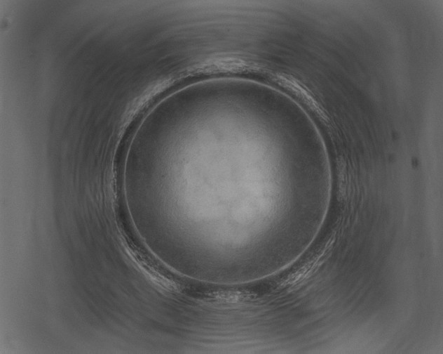 X0000078290439200611031235