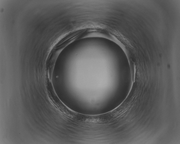 X0000078290440200611031235