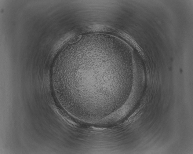 X0000078290442200611031235