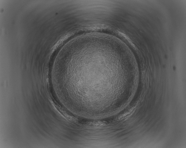 X0000078290443200611031235