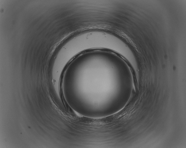 X0000078290444200611031235