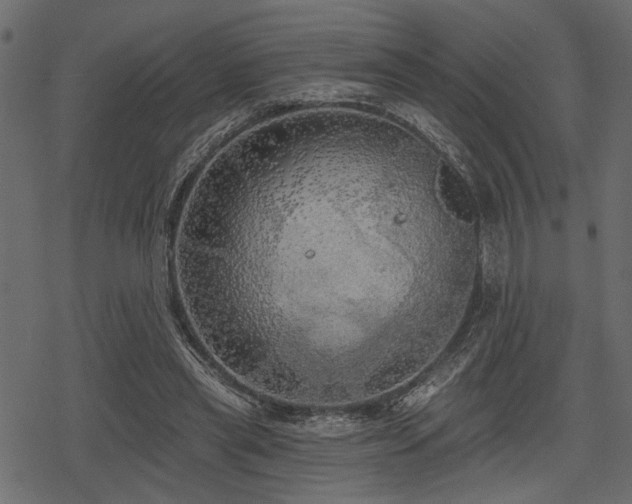 X0000078290445200611031236