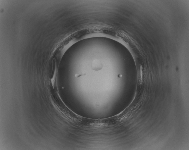 X0000078290448200611031236