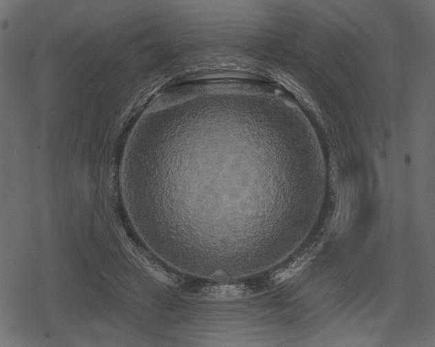 X0000078290449200611031236