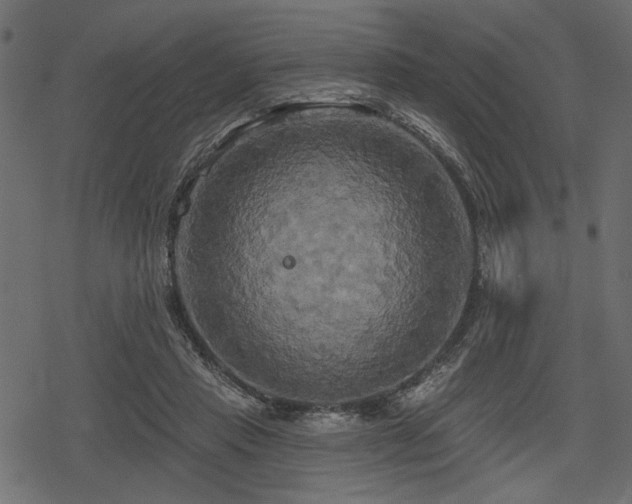 X0000078290453200611031236