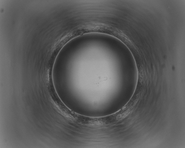 X0000078290454200611031236