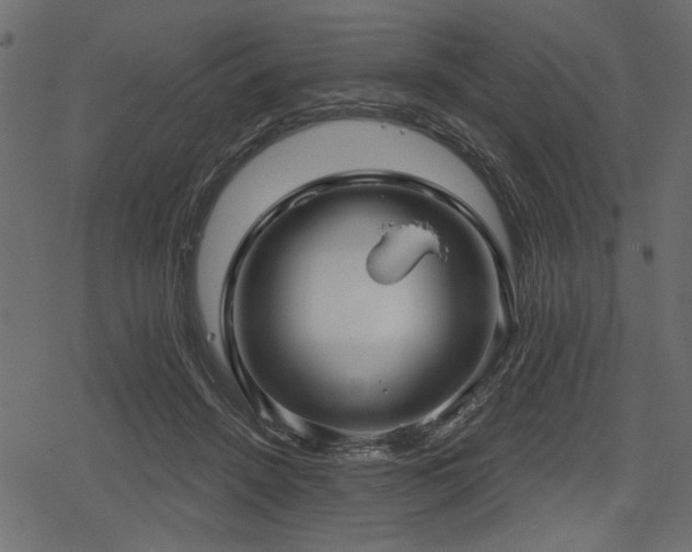 X0000078290456200611031236