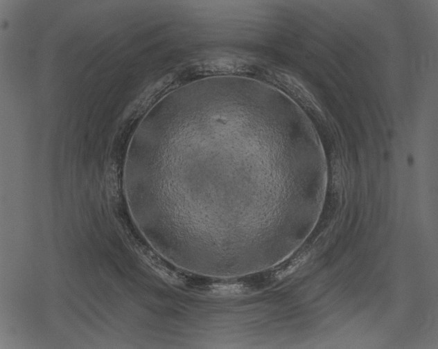 X0000078290457200611031236