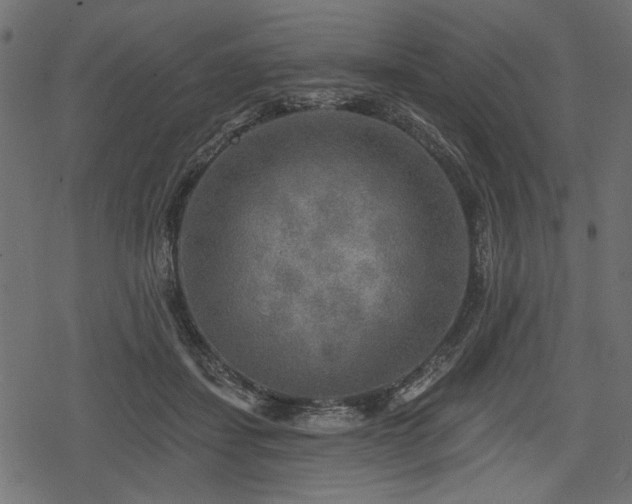 X0000078290459200611031236