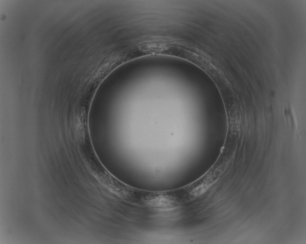 X0000078290460200611031236