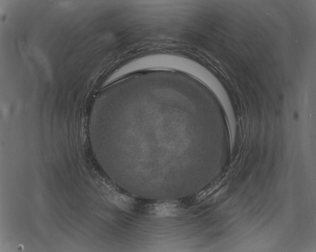 X0000078290462200611031236