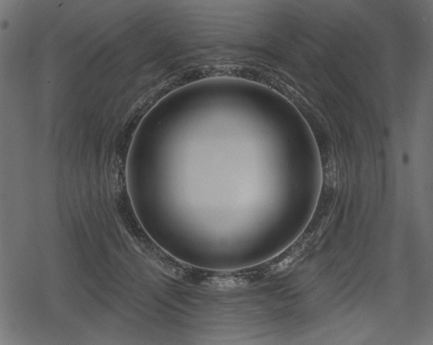 X0000078290464200611031236