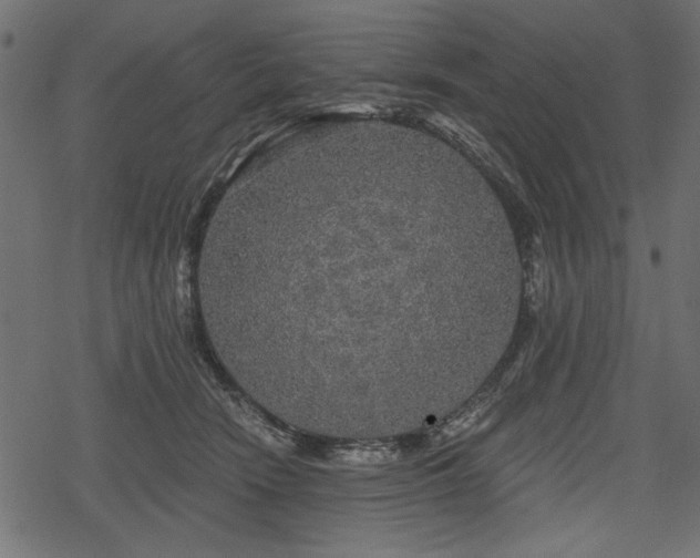 X0000078290466200611031236