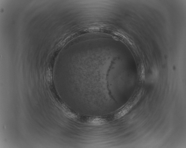 X0000078290467200611031236