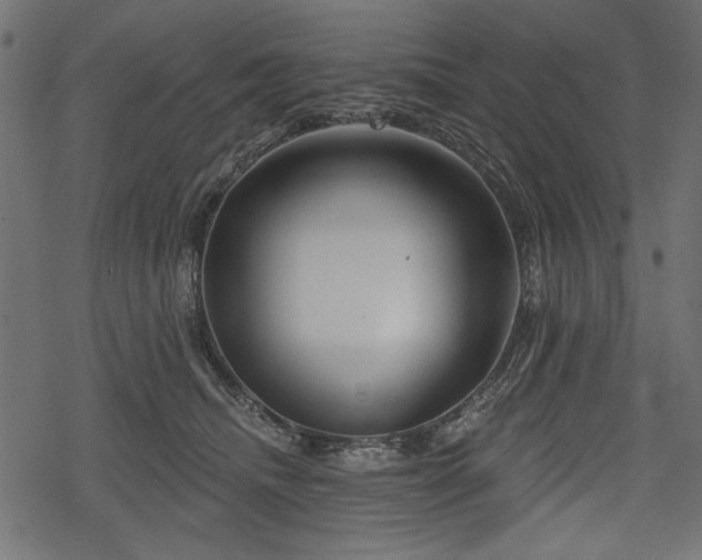 X0000078290468200611031236