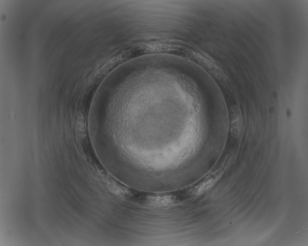 X0000078290469200611031236