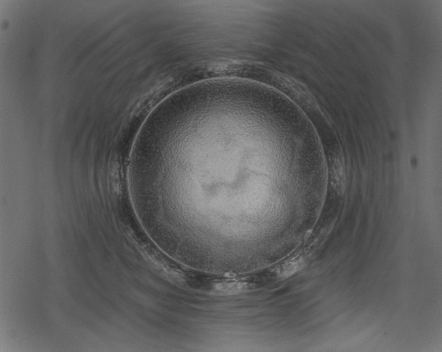 X0000078290470200611031236