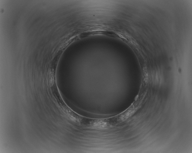 X0000078290471200611031236