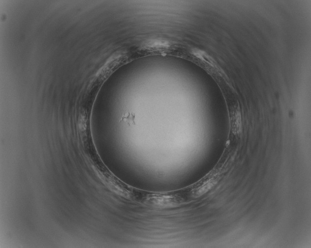 X0000078290472200611031236