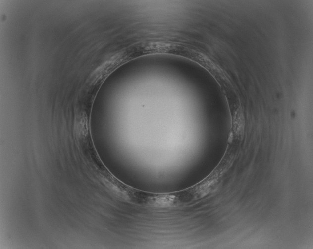 X0000078290474200611031236