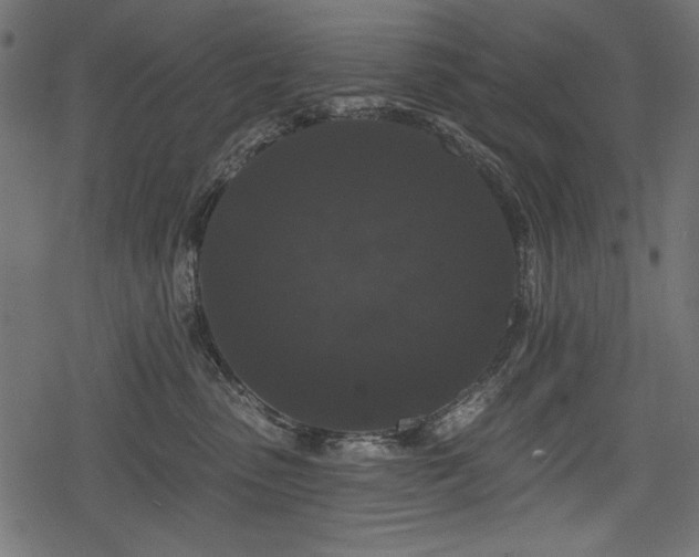 X0000078290475200611031236