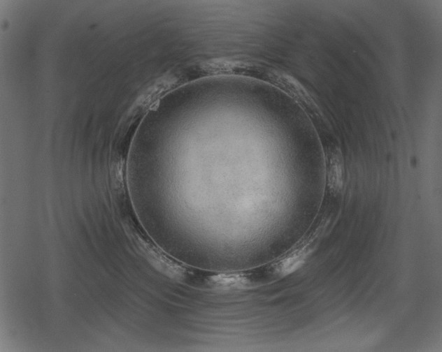 X0000078290477200611031236