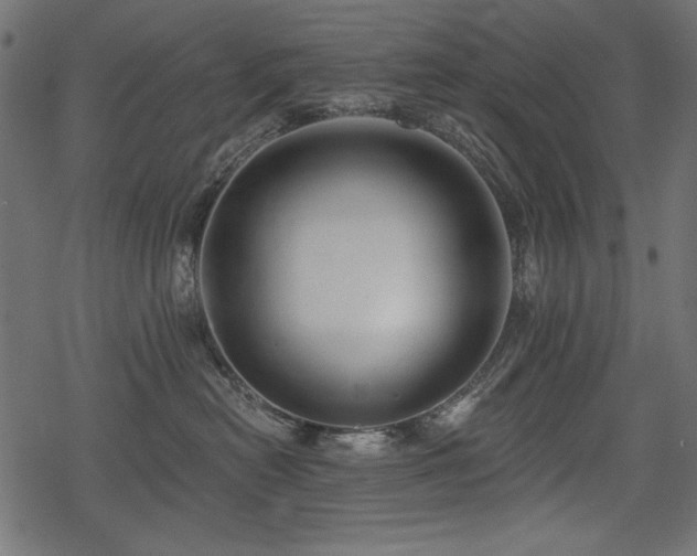 X0000078290478200611031236