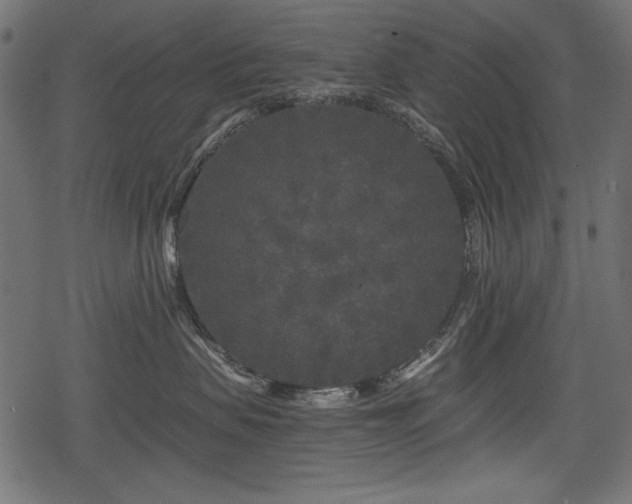 X0000078290479200611031236