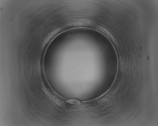 X0000078290482200611031235