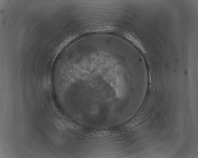 X0000078290483200611031235