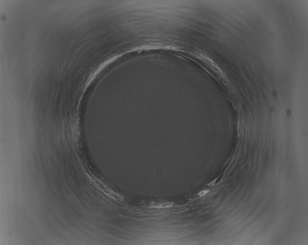 X0000078290484200611031235