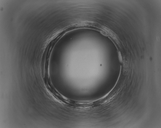 X0000078290485200611031235