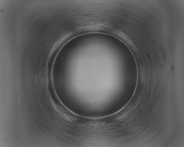 X0000078290486200611031235