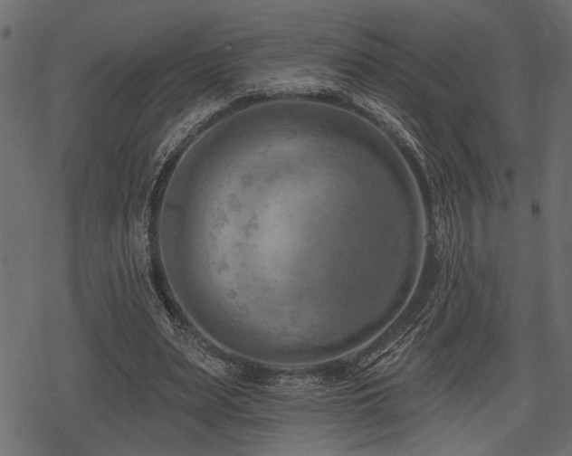 X0000078290487200611031235