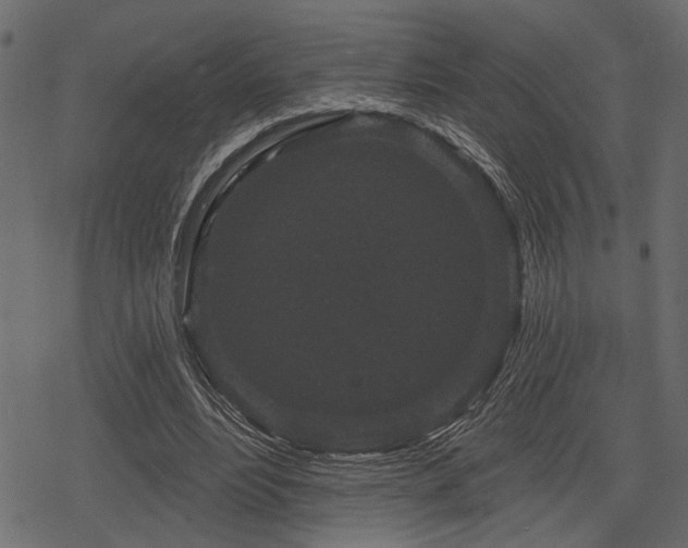 X0000078290488200611031235