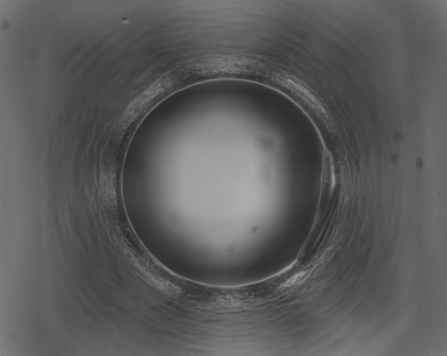 X0000078290489200611031235