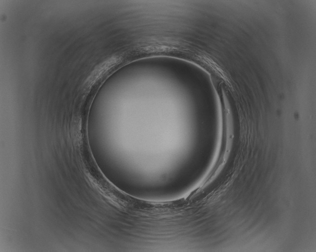 X0000078290490200611031235