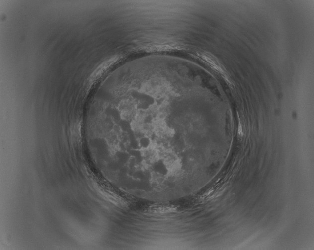 X0000078290491200611031235