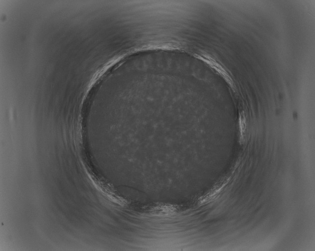 X0000078290492200611031235