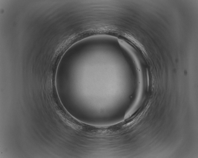 X0000078290493200611031235