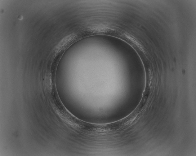 X0000078290494200611031235