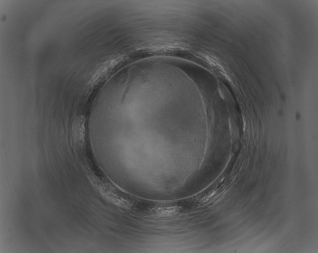 X0000078290495200611031235