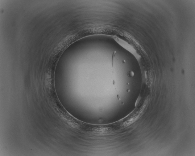 X0000078290497200611031235