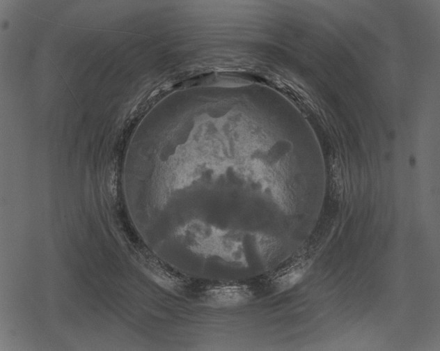 X0000078290499200611031235