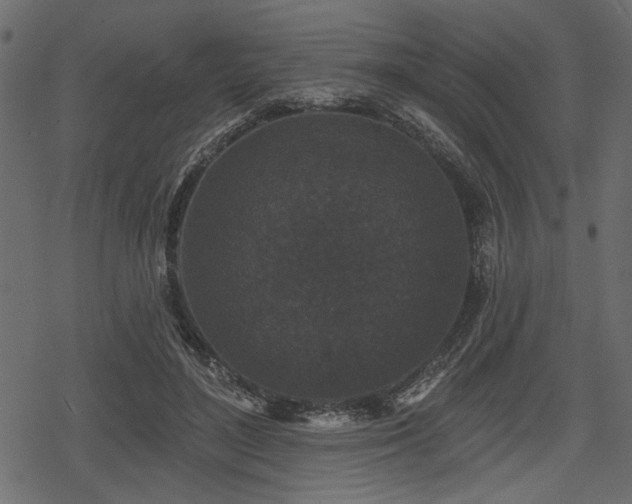 X0000078290500200611031235