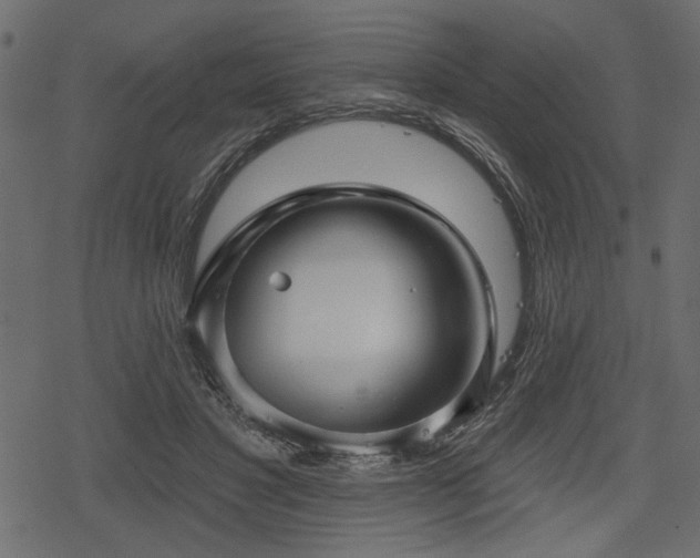 X0000078290501200611031235