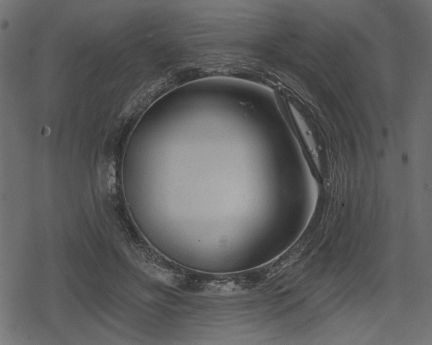 X0000078290502200611031235