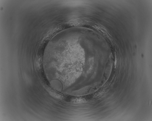 X0000078290503200611031235